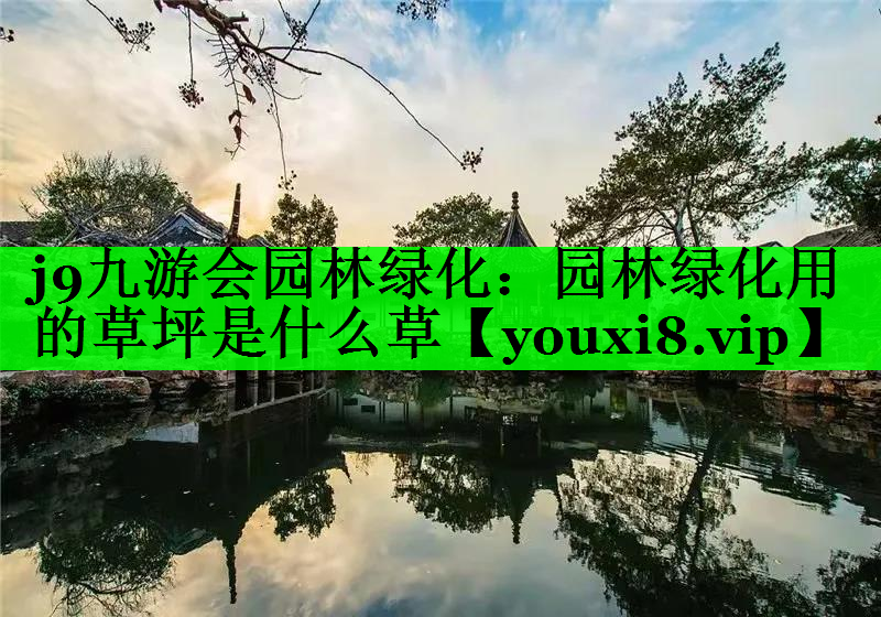 园林绿化用的草坪是什么草